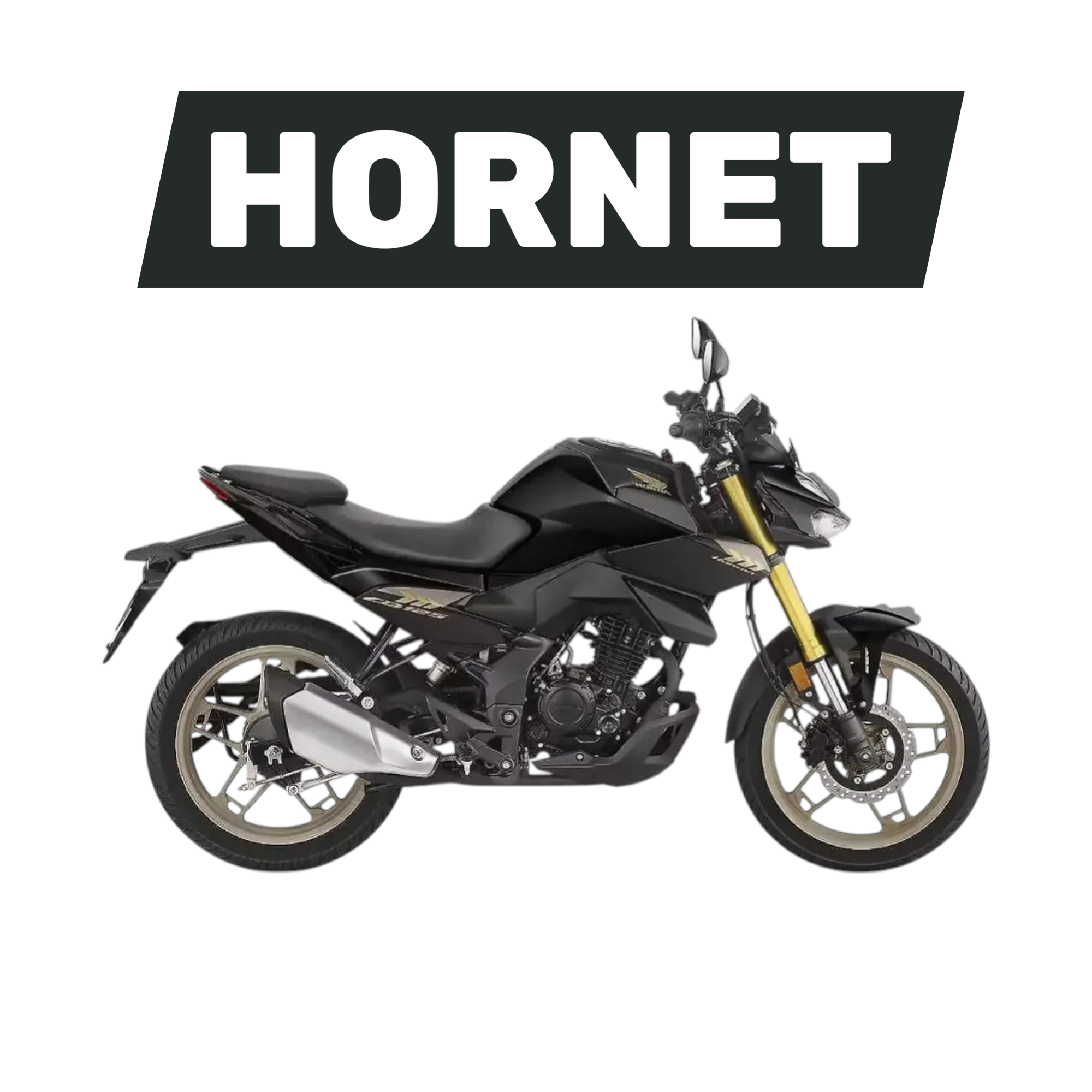 HORNET CB 125