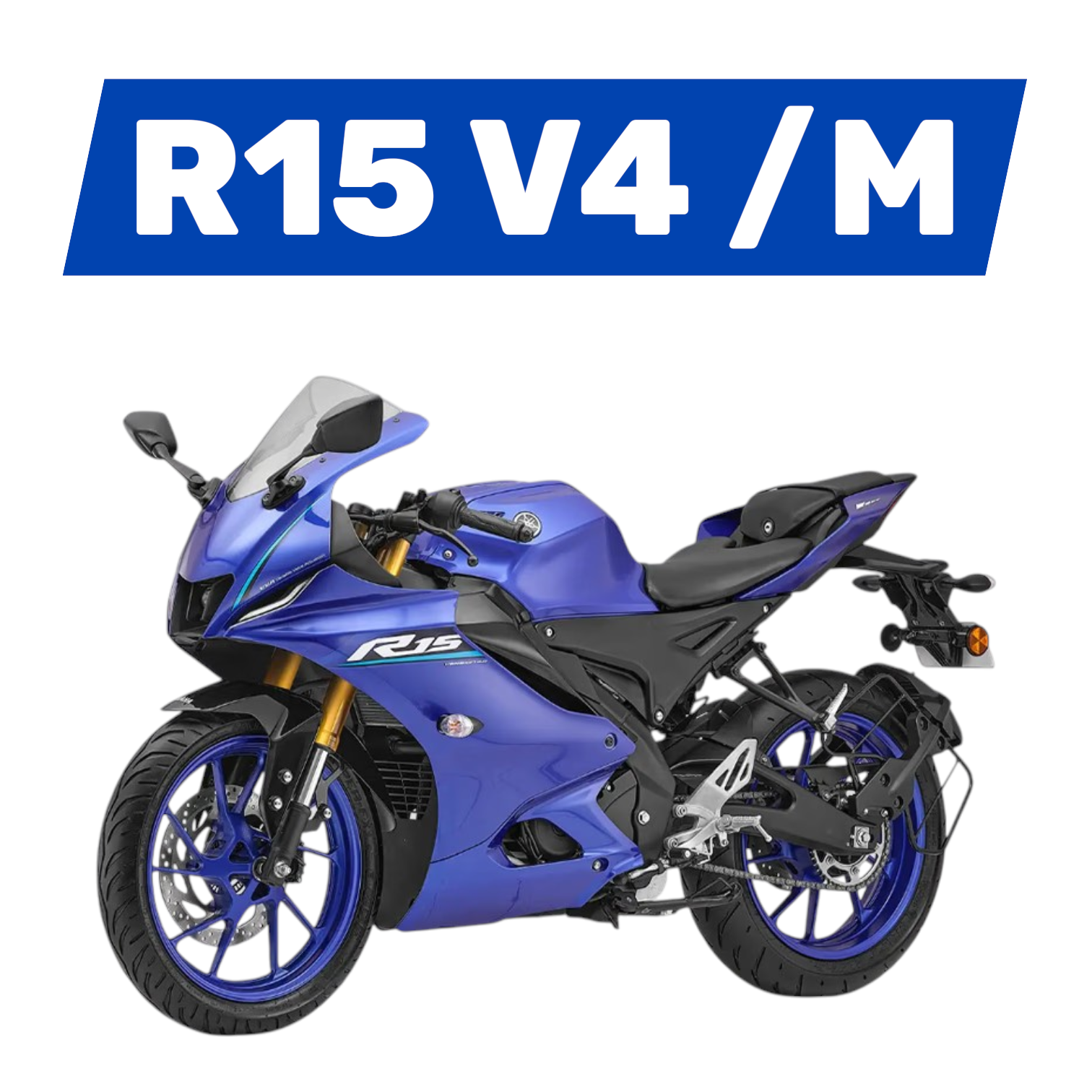 R15 V4 / M