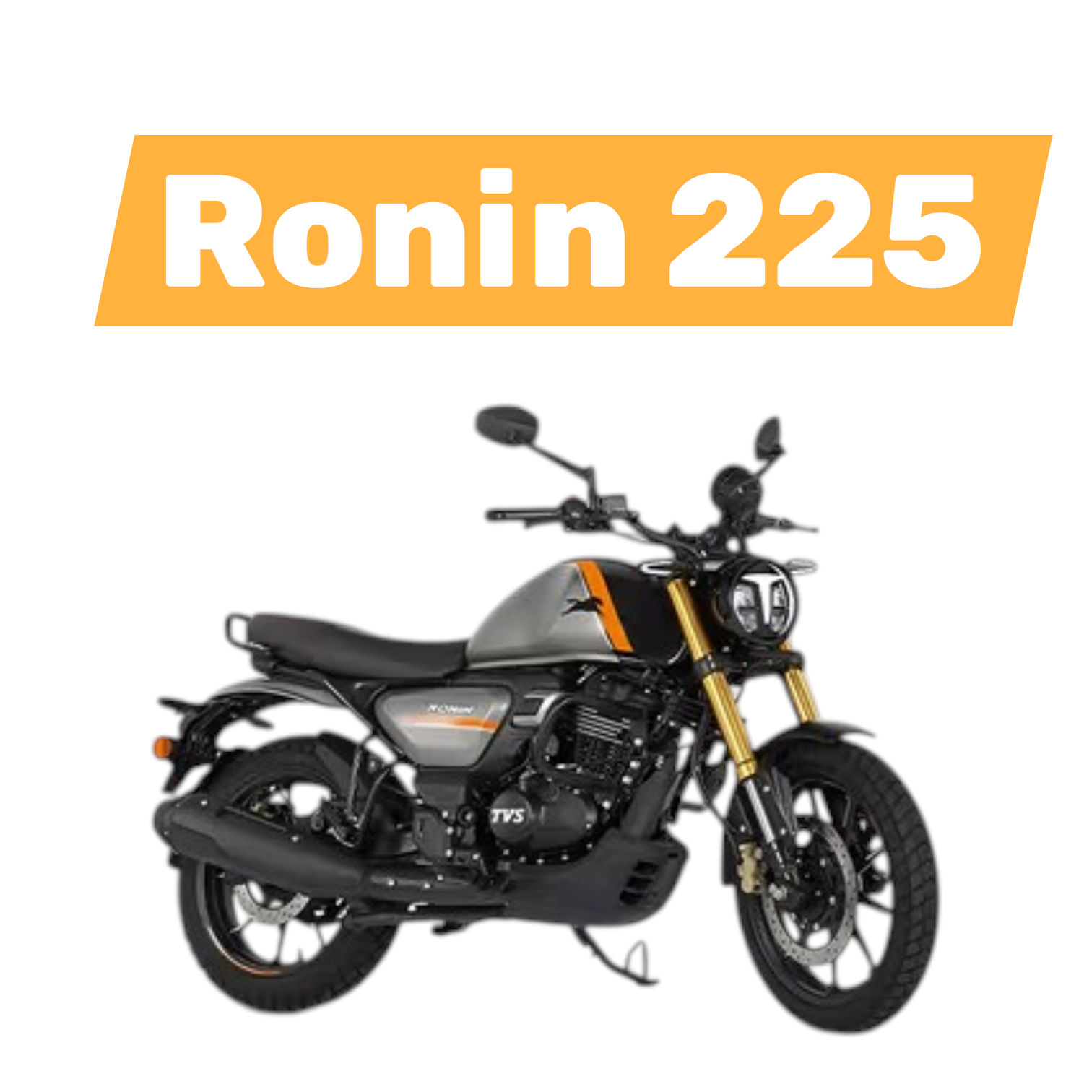 RONIN 225