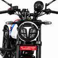 TVS Ronin Headlight Grill 