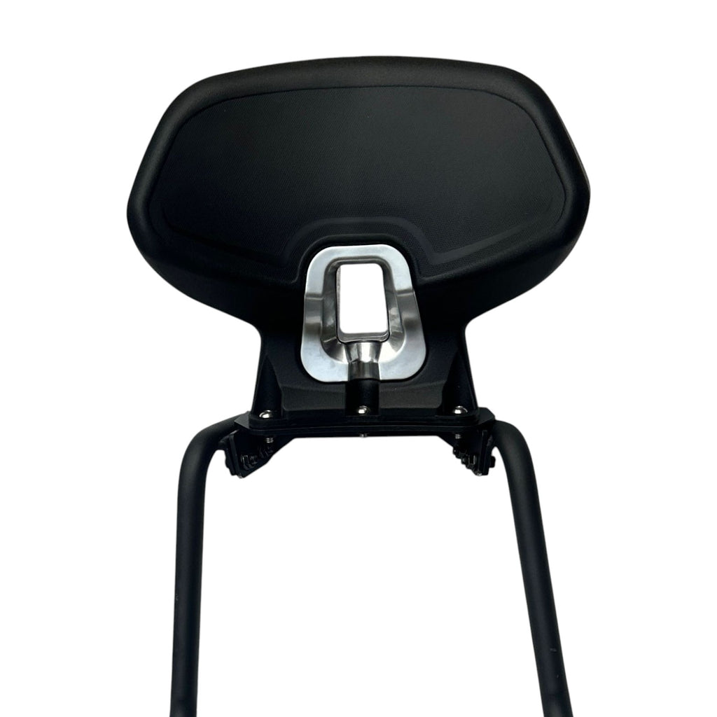 Yamaha Aerox 155 touring backrest